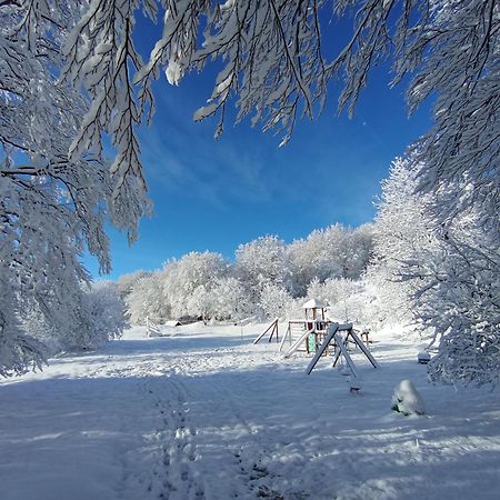 Plitvice Green Apartment Плитвицкие озёра Экстерьер фото