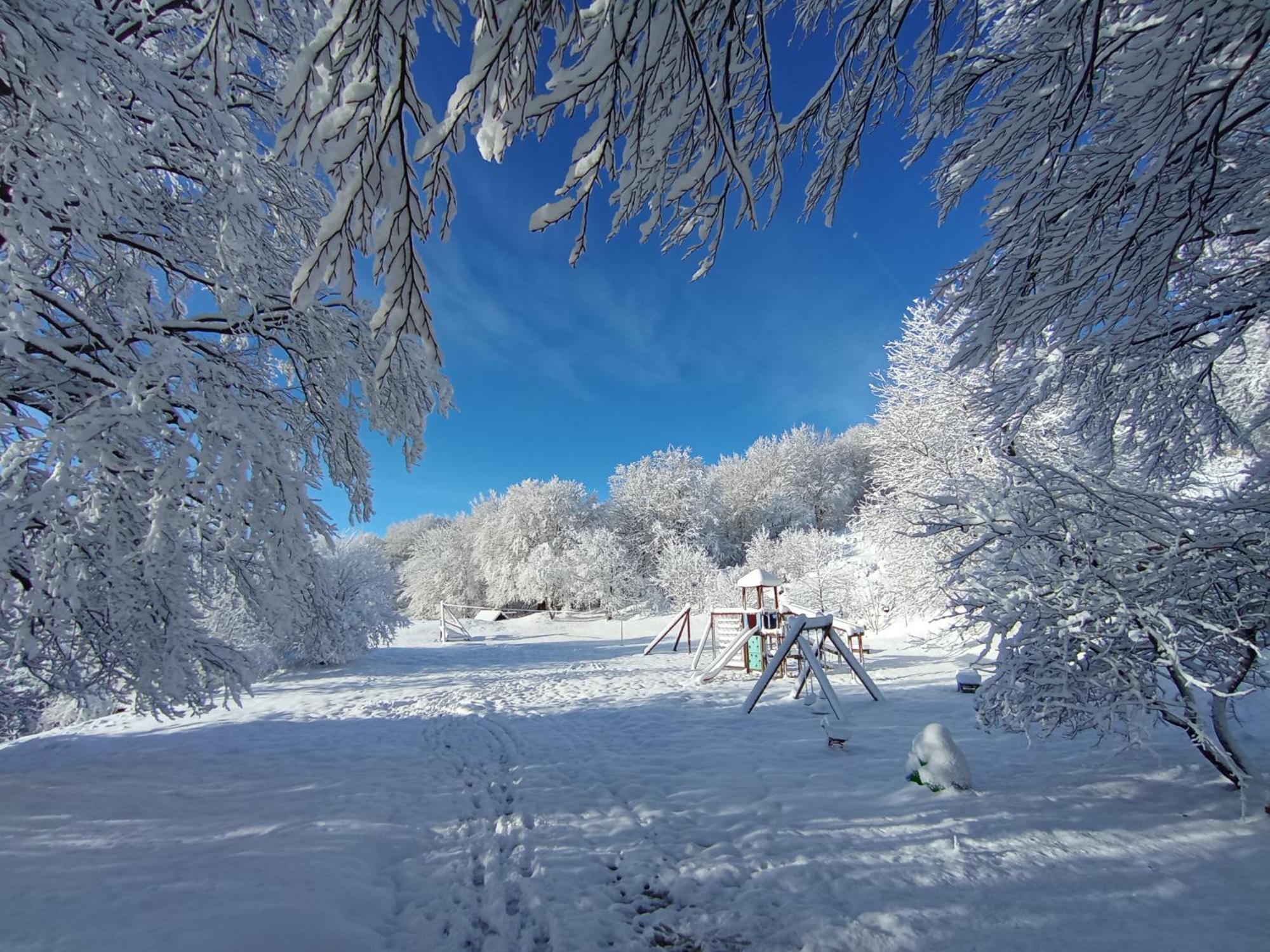 Plitvice Green Apartment Плитвицкие озёра Экстерьер фото